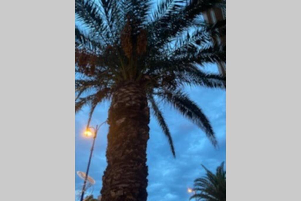 شقة Escapade Au Port Hyères المظهر الخارجي الصورة
